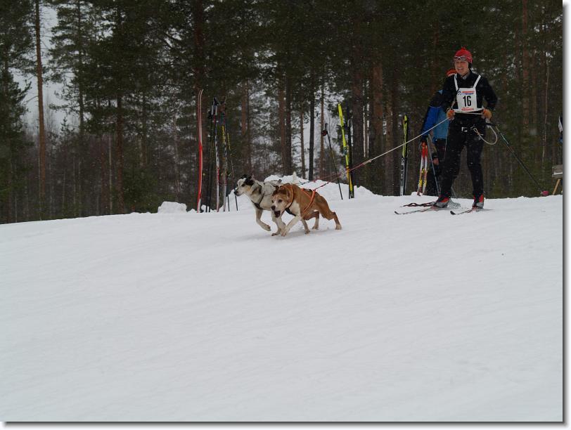 Nästa bild